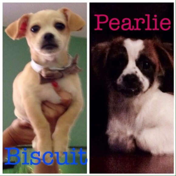 Meet your sellers / buyers - Picture 3 of 3